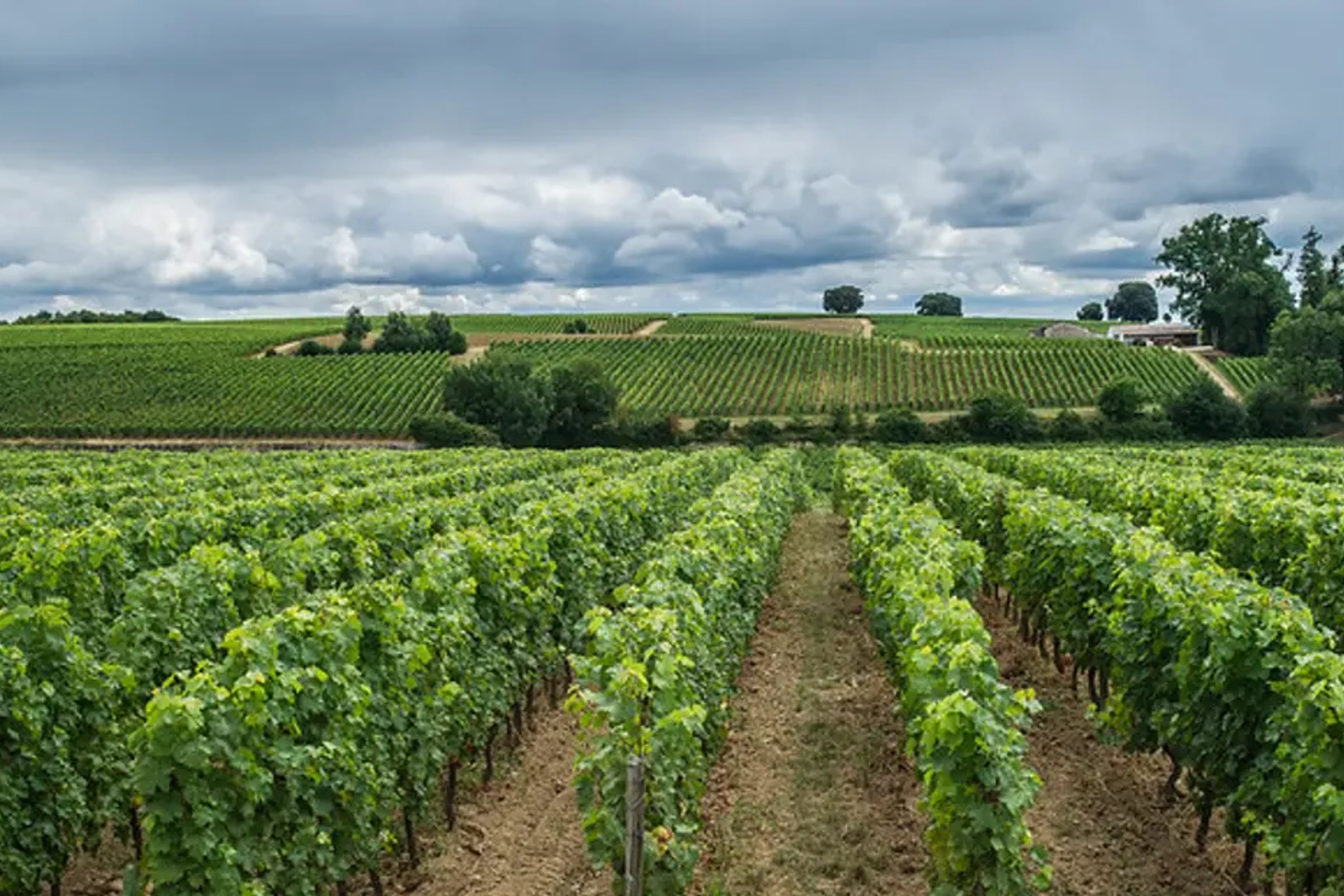 From Bordeaux: Full Day to Saint-Emilion and Medoc